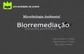 ppt biorremediação+