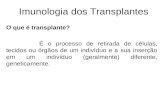 imunologia dos transplantes