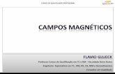 Tecnologia RM - Campos Magnéticos