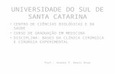 Ambiente, Equipe Cirúrgica e Instrumental - Dr Sandro