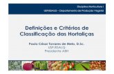 Definições e critérios de classificação das hortaliças