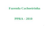 PPRA-2010 - ok.