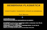 4- Membrana Citopasma Citoesqueeto Transporte Endocitose e Exocitose