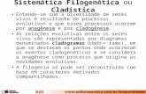 Sistemática Filogenética ou Cladística Aula 4º Ano