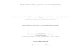 Dissertação  Mestrado Comunicação em Saúde - Madalena Martins