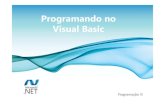 Visual Basic-Programação