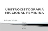 URETROCISTOGRAFIA MICCIONAL FEMININA