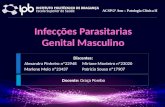 Infecções Parasitarias Genital Masculino