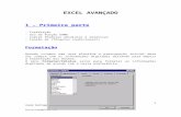 Apostila de Excel 2003 avançado