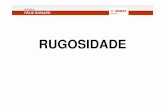 RUGOSIDADE TÉCNICO_PAULO