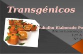 Apresentação -  Transgénicos