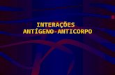 interação antigeno anticorpo