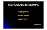 Microbiota - prebiótico e probiótico - Acad Yvon Toledo Rodrigues