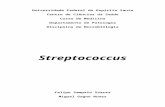 Apostila Streptococcus Completa