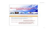 7653 Microbiologia Industrial e Biotecnologia