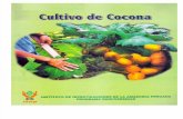Cultivo de Cocona