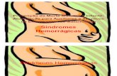 Síndromes Hemorrágicas - Aula 03