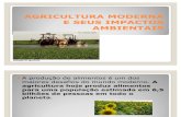 Agricultura Moderna e Seus Impactos Ambient a Is