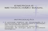 Energia e Metabolismo Basal- Aula 2