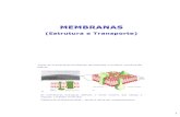 Aula 2 - Membranas (Estrutura e Transporte - FABIO (2)
