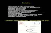 Tecn DNA Recombinante[1]