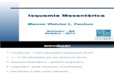 Isquemia Mesentérica - MARCUS