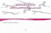 Ginástica Dinamarquesa- Slides