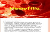 Trabalho Hemofilia Slides