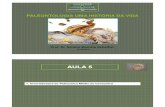 Paleonto CA Aula5 Invert Paleoz Medio Cenoz [Modo de Compatibilidade
