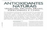 Antioxidantes Naturais