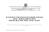 Relat-Rio - Espectrofotometria de Absor--o Molecular UV-VIS