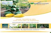 Guia Cultivo Papaya