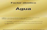 factores abióticos - água e solo
