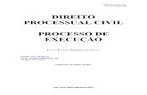 2011 Apostila Processo de Execução - Prof. Lúcio Flávio
