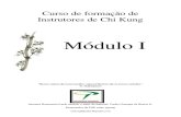 Curso de formação de instrutores de QiGong ( qi gong Chi Kung ) 1