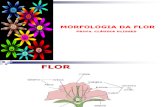 Aula Morfologia Da Flor Cludia