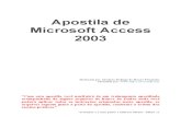 Apostila Completa de Access 2007