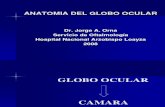 Anatomia Del Globo Ocular[1]