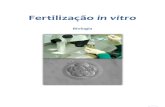 Fertilização In Vitro