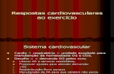 Respostas cardiovasculares ao exercício