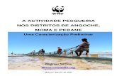 Santos, R. 2007 - A Actividade Pesqueira Nos Distritos de Angoche, Moma e Pebane