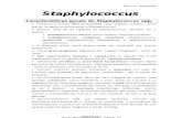 3. Staphylococcus