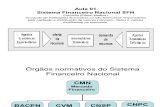 Sistema Financeiro Nacional SFN- as Slides