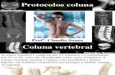 Aula 9 Protocolos Por TC - Coluna Vertebral. Prof Claudio Souza.
