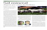Mercado de Suplementos Minerais - DBO Rural