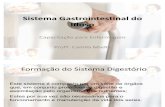 Sistema Gastrointestinal Do Idoso