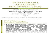 pia Analtico Funcional ( Fap) (1)