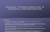 Trabalho Psicologia Hospitalar - Equipe Multiprofissional e Trabalho Interdisciplinar