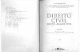 Direito Civil (Silvio Rodrigues