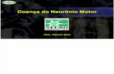 C5 Hemiplegia Doenca Neuronio Motor
